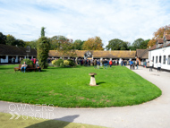 NH051025-65 - Nicky Henderson Stable Visit
